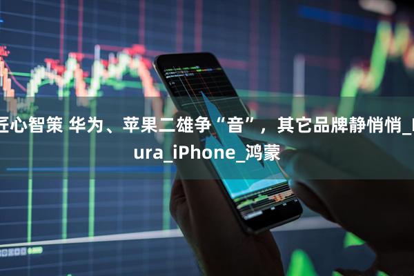 匠心智策 华为、苹果二雄争“音”，其它品牌静悄悄_Pura_iPhone_鸿蒙