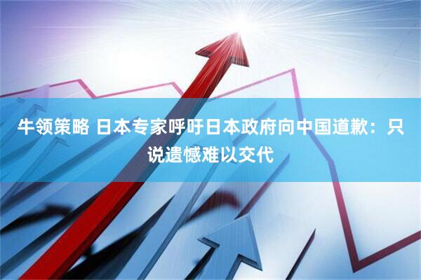 牛领策略 日本专家呼吁日本政府向中国道歉：只说遗憾难以交代