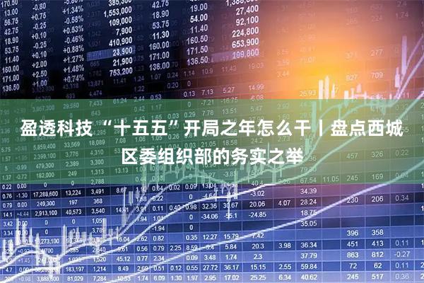 盈透科技 “十五五”开局之年怎么干丨盘点西城区委组织部的务实之举